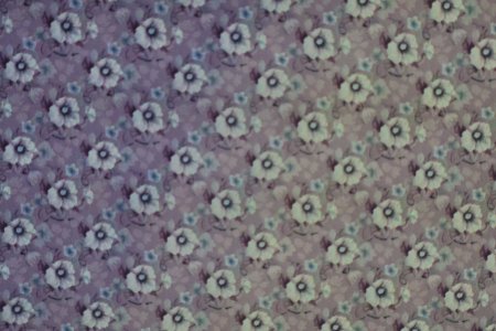 Floral Pattern Design