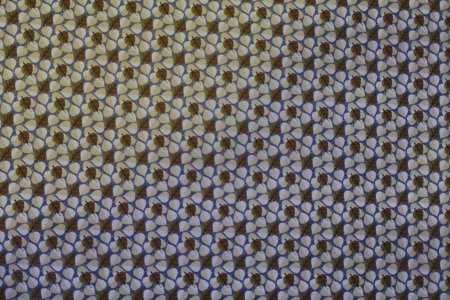 Floral Pattern Design