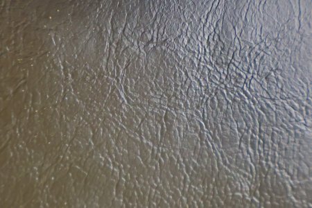 Close-up of Leather Texture