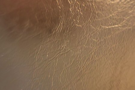 Close-up of Textured Leather Surface